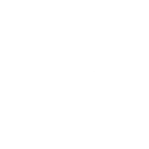 Requirement Discovery